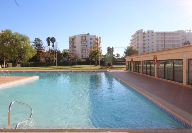 Apartamento em Praia da Rocha - T1 Praia da Rocha/ Paraíso Sol da Rocha Apartamento em Praia da Rocha - T1 Praia da Rocha/ Paraíso Sol da Rocha