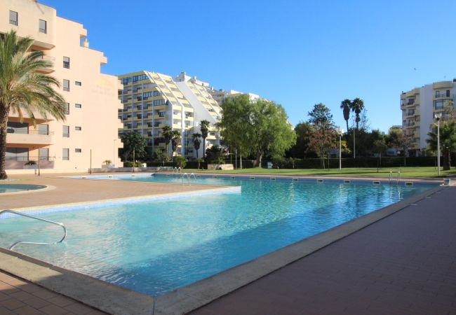 Apartamento em Praia da Rocha - T1 Praia da Rocha/ Paraíso Sol da Rocha Apartamento em Praia da Rocha - T1 Praia da Rocha/ Paraíso Sol da Rocha