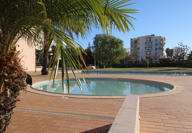 Apartamento em Praia da Rocha - T1 Praia da Rocha/ Paraíso Sol da Rocha Apartamento em Praia da Rocha - T1 Praia da Rocha/ Paraíso Sol da Rocha