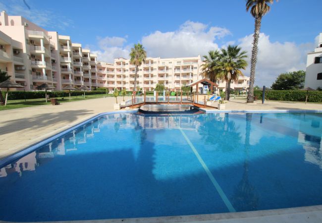 Apartamento em Praia do Vau - T1 Praia do Vau/ Estrela do Vau Apartamento em Praia do Vau - T1 Praia do Vau/ Estrela do Vau