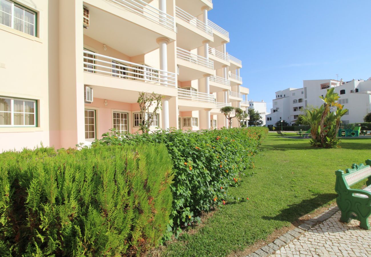 Apartamento em Praia do Vau - T1 Praia do Vau/ Estrela do Vau Apartamento em Praia do Vau - T1 Praia do Vau/ Estrela do Vau