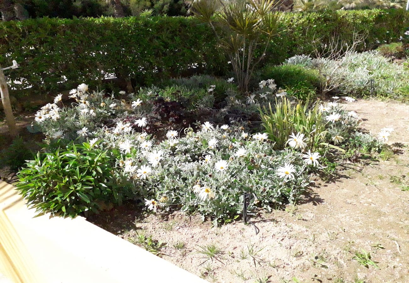 Apartamento em Alvor - T1 Alvor/ Prainha Apartamento em Alvor - T1 Alvor/ Prainha