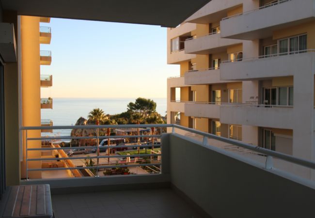 Ferienwohnung in Praia da Rocha - T1 Praia da Rocha/Varandas do Sol 3 Ferienwohnung in Praia da Rocha - T1 Praia da Rocha/Varandas do Sol 3