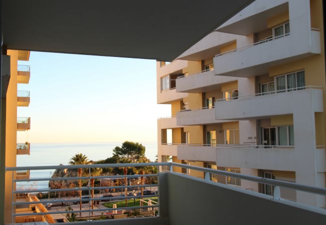 Ferienwohnung in Praia da Rocha - T1 Praia da Rocha/Varandas do Sol 3 Ferienwohnung in Praia da Rocha - T1 Praia da Rocha/Varandas do Sol 3