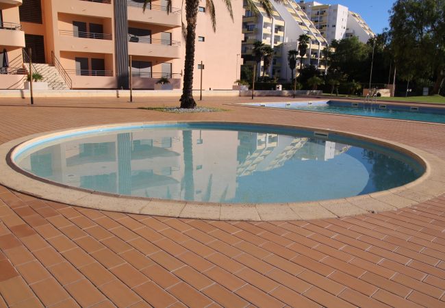 Apartment in Praia da Rocha - T1 Praia da Rocha/ Paraíso Sol da Rocha 3 Apartment in Praia da Rocha - T1 Praia da Rocha/ Paraíso Sol da Rocha 3