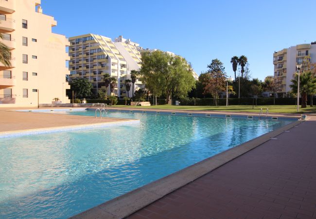 Apartment in Praia da Rocha - T1 Praia da Rocha/ Paraíso Sol da Rocha 3 Apartment in Praia da Rocha - T1 Praia da Rocha/ Paraíso Sol da Rocha 3