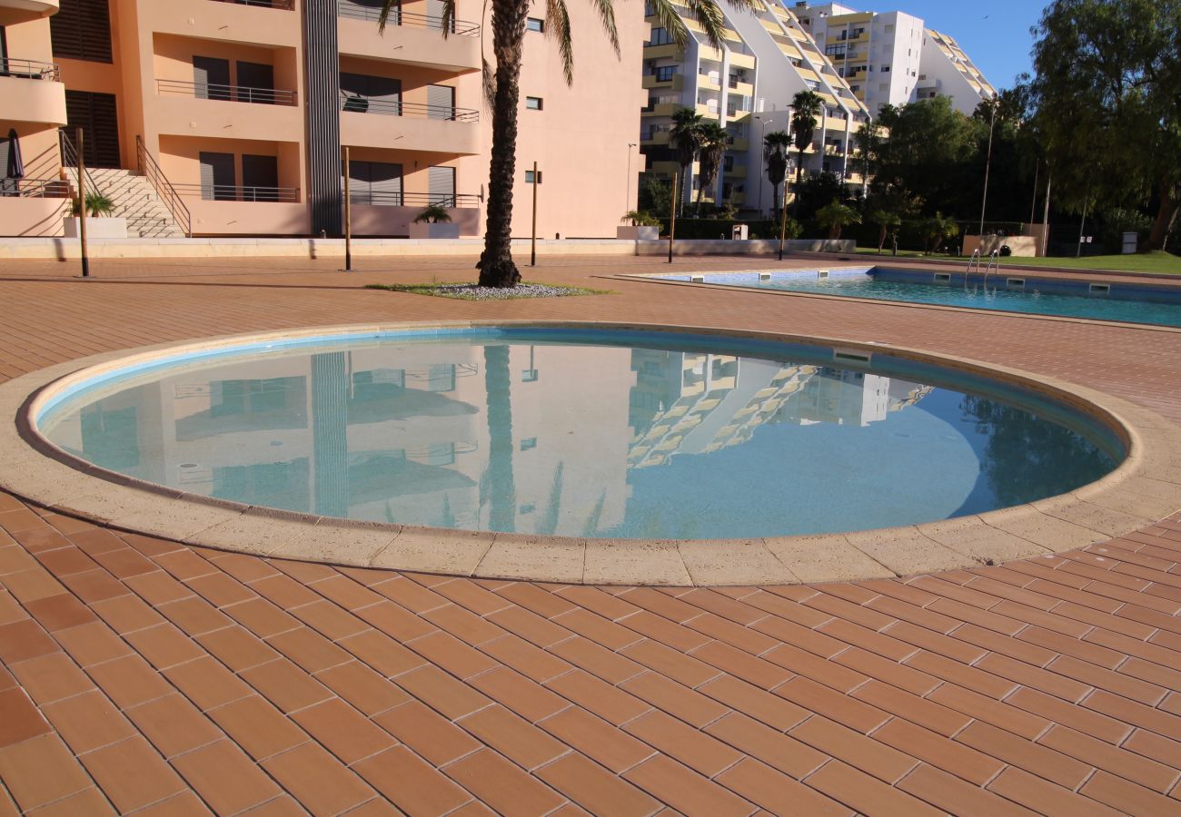 Apartment in Praia da Rocha - T1 Praia da Rocha/ Paraíso Sol da Rocha 3 Apartment in Praia da Rocha - T1 Praia da Rocha/ Paraíso Sol da Rocha 3