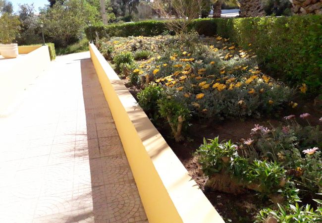Apartment in Alvor - T1 Alvor/ Prainha Apartment in Alvor - T1 Alvor/ Prainha
