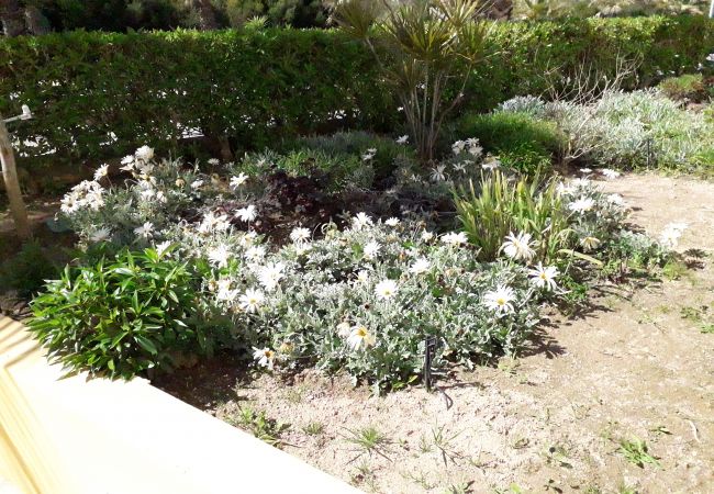 Apartment in Alvor - T1 Alvor/ Prainha Apartment in Alvor - T1 Alvor/ Prainha