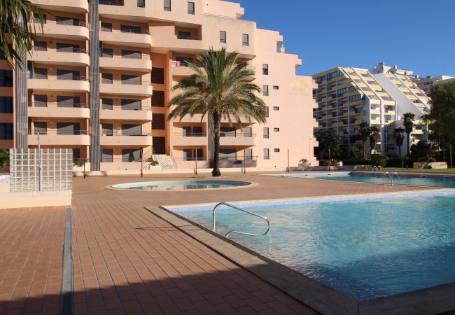 Appartement à Praia da Rocha - T1 Praia da Rocha/ Paraíso Sol da Rocha Appartement à Praia da Rocha - T1 Praia da Rocha/ Paraíso Sol da Rocha