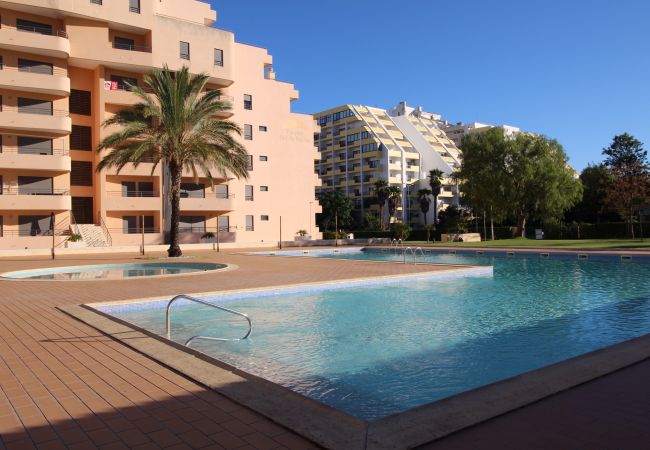 Appartement à Praia da Rocha - T1 Praia da Rocha/ Paraíso Sol da Rocha Appartement à Praia da Rocha - T1 Praia da Rocha/ Paraíso Sol da Rocha